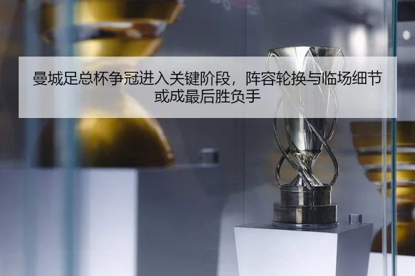 man-cheng-zu-zong-bei-zheng-guan-jin-ru-guan-jian-jie-duan-zhen-rong-lun-huan-yu-lin-chang-xi-jie-huo-cheng-zui-hou-3-480.jpg