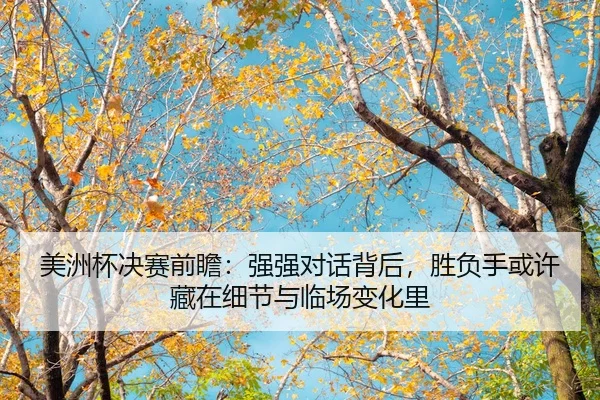 美洲杯决赛前瞻：强强对话背后，胜负手或许藏在细节与临场变化里